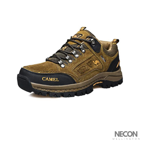 Trailnov Modern Shoe